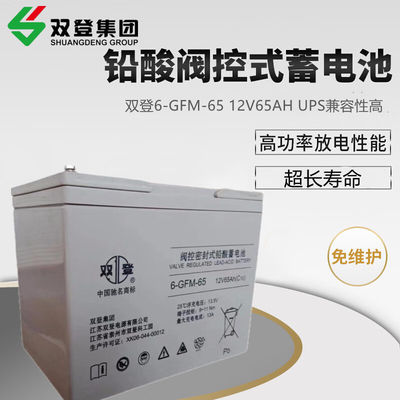 Shoto/6-GFM-65 Batería de plomo ácido 12V65AH para comunicación y almacenamiento de energía solar